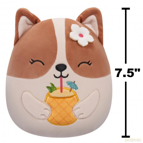 Squishmallows - 19 cm P19 - Regina Corgi