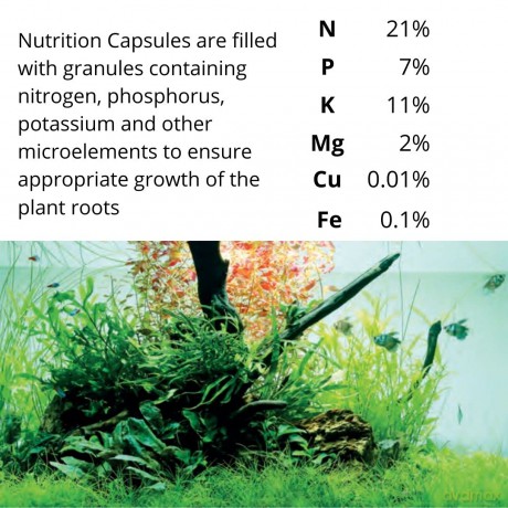 TROPICA - Nutrition Capsules 50pc - (144.0052)