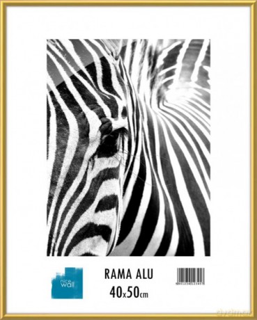 Rama aluminiowa 40x50 cm [OPRAWA]