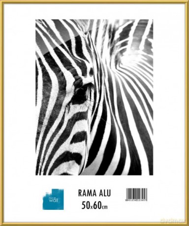 Rama aluminiowa 50x60 cm [OPRAWA]