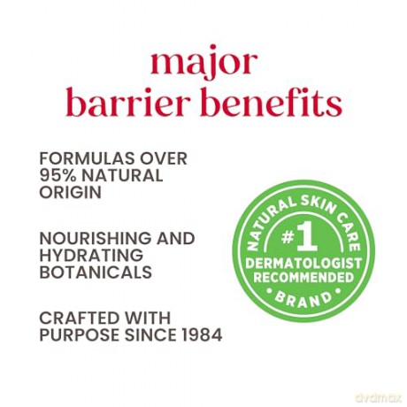 Burt's Bees - Sensitive Skin Facial Cleanser