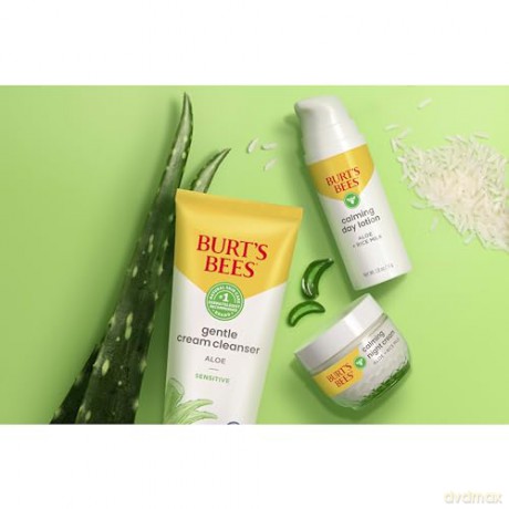 Burt's Bees - Sensitive Skin Facial Cleanser