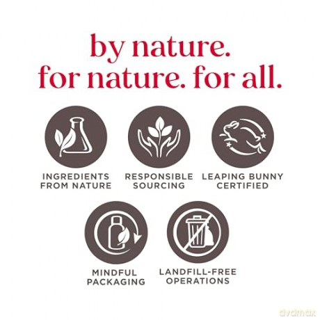 Burt's Bees - Sensitive Skin Facial Cleanser