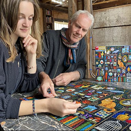 eeBoo - Puzzle 1000 pcs - Alchemist's Cabinet - (EPZTALC)
