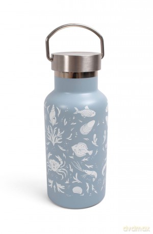 FILIBABBA - Stainless steel water bottle - Rainbow Reef - (FI-03206)