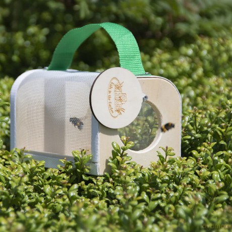 Gardenlife - Insect observation box (KG229)