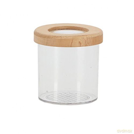 Gardenlife - Insect study jar (KG228)