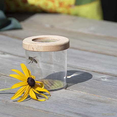 Gardenlife - Insect study jar (KG228)