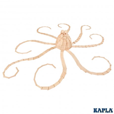 Kapla 1000 (8005)