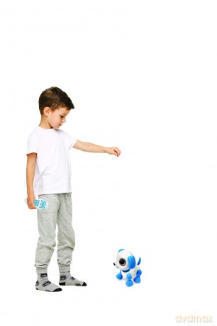 Lexibook - Power Puppy Mini (ROB02DOG)