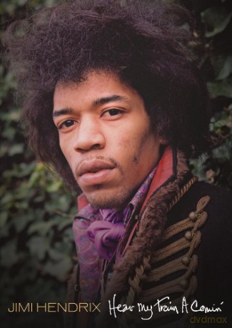 Jimi Hendrix: Hear My Train A Comin' [DVD]