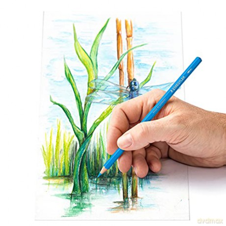 Staedtler - Watercolor colored pencil, 12 pcs (14610C M12)