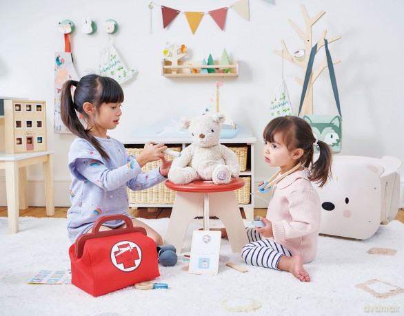 Zestaw lekarski z kuferkiem Tender Leaf Toys