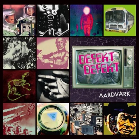 Defekt Defekt: Aardvark [Winyl]