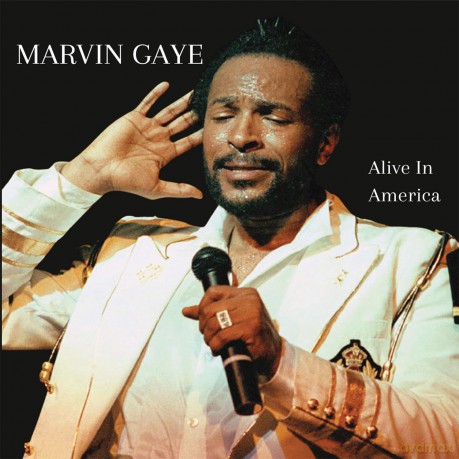 Marvin Gaye: Alive In America (Natural Clear Marble) [Winyl]