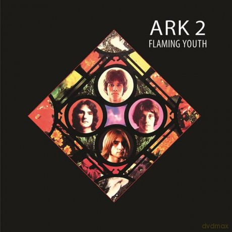 Flaming Youth: Ark 2 [Winyl]