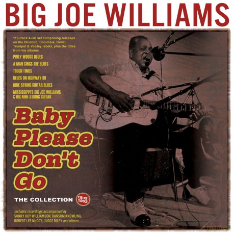 Big Joe Williams: Baby Please Dont Go: The Collection 1935-62 [CD]