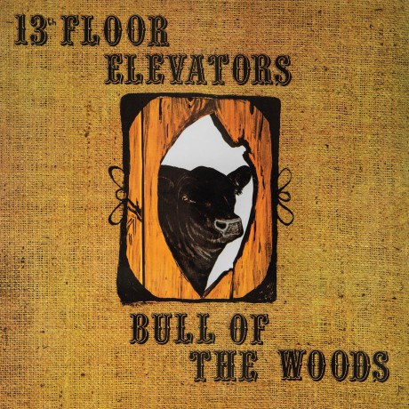 13th Floor Elevators: Bull Of The Woods (Half Speed Remaster) [Winyl]