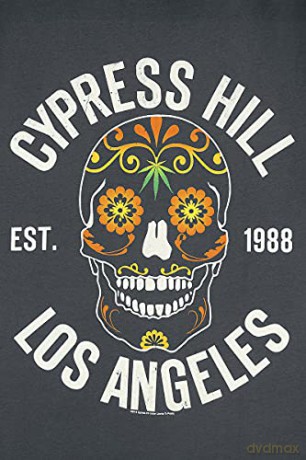 Cypress Hill: Cypress Hill - Floral Skull Amplified Vintage Charcoal X Large T-Shirt