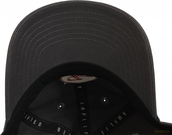 Foo Fighters: Foo Fighters Logo Dad Cap