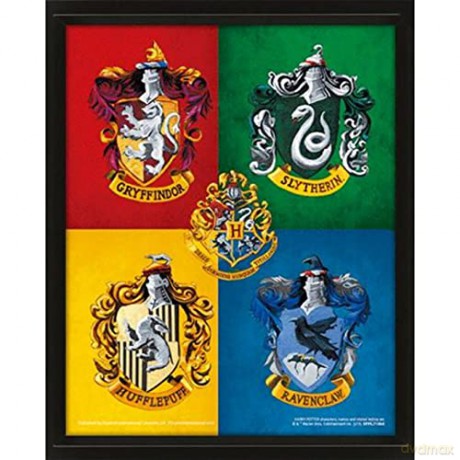 Harry Potter: Harry Potter (Colourful Crest) - Framed