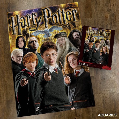 Harry Potter: Harry Potter Collage 1000 Piece Jigsaw Puzzle [PUZZLE]