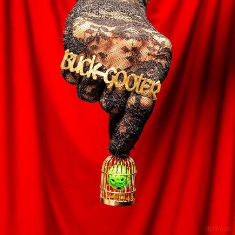 Buck Gooter: Head In A Bird Cage [Winyl]
