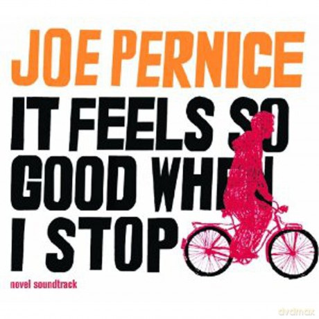 Joe Pernice: It Feels So Good When I Stop [Winyl]