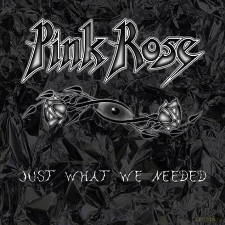 Pink Rose: Just What We Needed [CD]