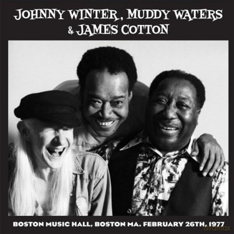 Winter. Waters And Cotton: Live In Boston 77 (Best Of Vol. 1) [Winyl]