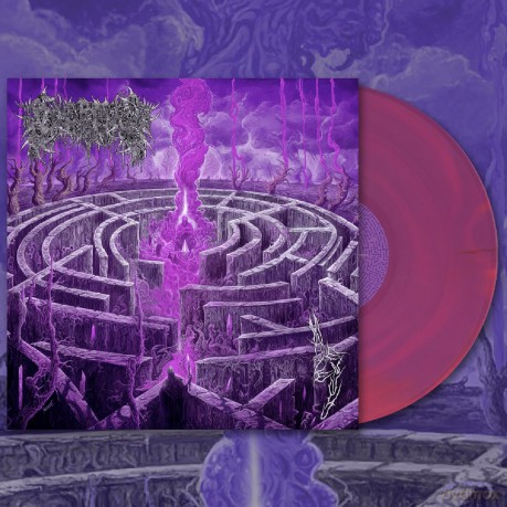 Civerous: Maze Envy (Purple/Magenta Merge) [Winyl]