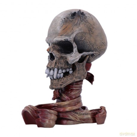 Metallica: Metallica Pushead Skull 23.5cm (4)