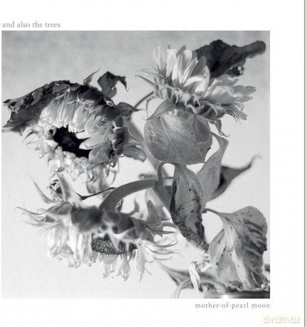 And Also The Trees: Mother-Of-Pearl Moon [CD]