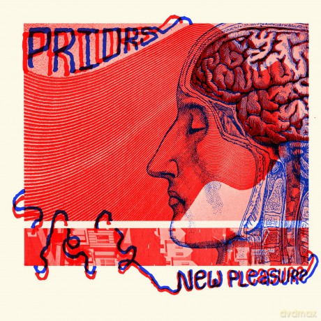 Priors: New Pleasure [Winyl]