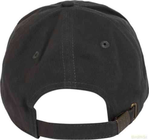 Nirvana: Nirvana Logo Dad Cap