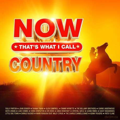 Now Thats What I Call Country [CD]