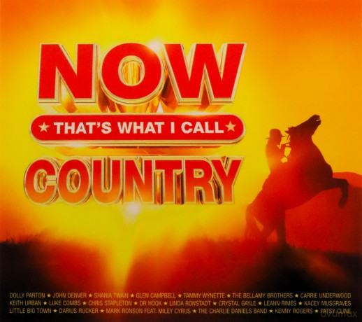 Now Thats What I Call Country [CD]