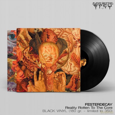 Festerdecay: Reality Rotten To The Core [Winyl]