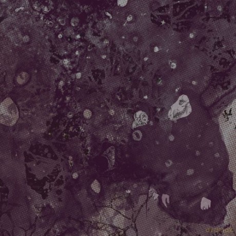 Pinkish Black: Razed To The Ground [CD]