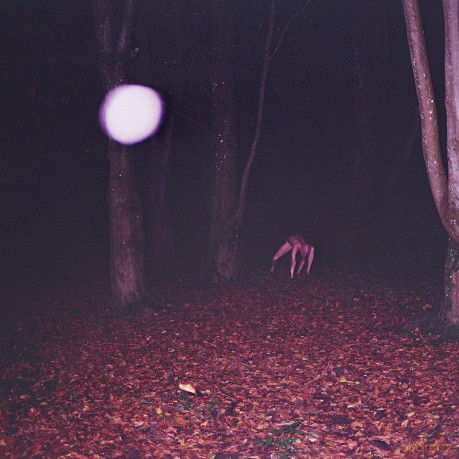 Buzzard Buzzard Buzzard: Skinwalker [CD]