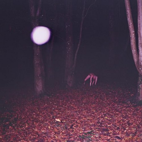 Buzzard Buzzard Buzzard: Skinwalker [Winyl]