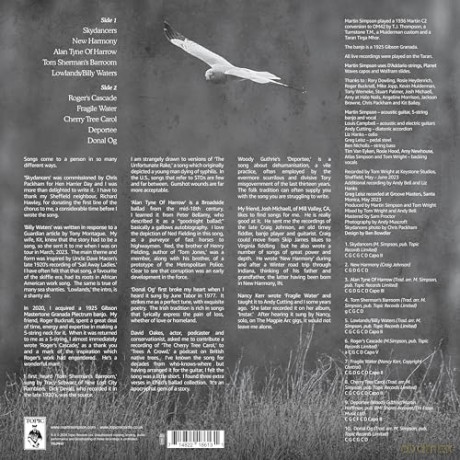 Martin Simpson: Skydancers [Winyl]