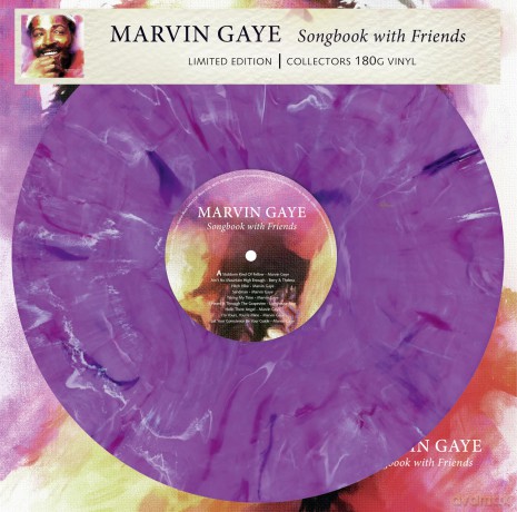 Marvin Gaye: Songbook With Friends (Marbled) [Winyl]