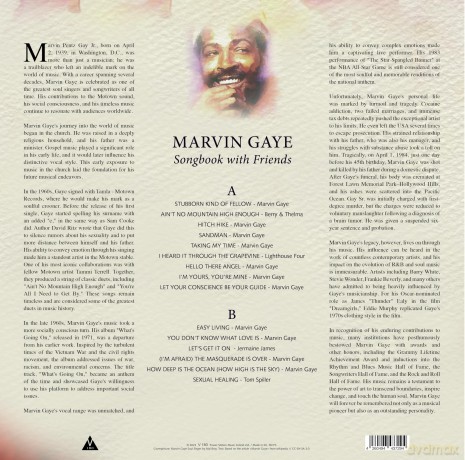 Marvin Gaye: Songbook With Friends (Marbled) [Winyl]
