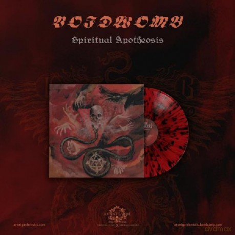 Voidwomb: Spiritual Apotheosis (Red/Black Splatter) (+16 Pages Book) [Winyl]