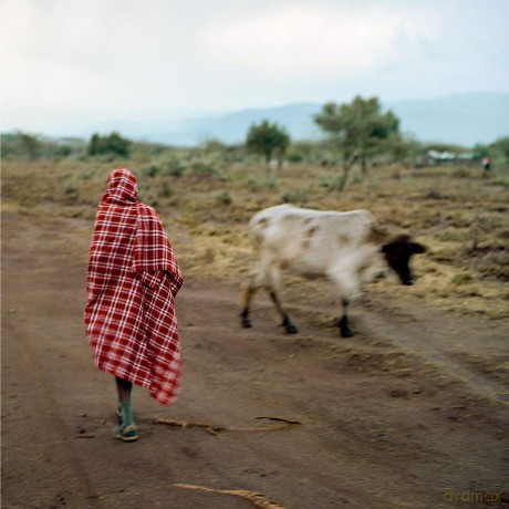 Stalawa: Stalawa In East Africa (RSD 2019) [Winyl]