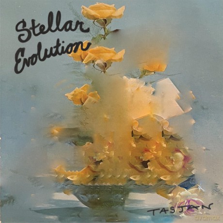 Aaron Lee Tasjan: Stellar Evolution [CD]