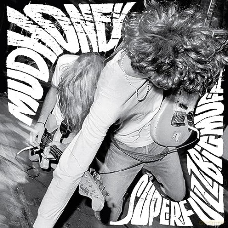 Mudhoney: Superfuzz Bigmuff [Winyl]