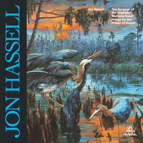 Jon Hassell: The Surgeon Of The Nightsky [Winyl]