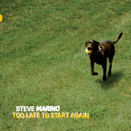 Steve Marino: Too Late To Start Again [Winyl]